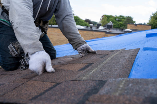 Roof Waterproofing Services in Hickory Creek, TX